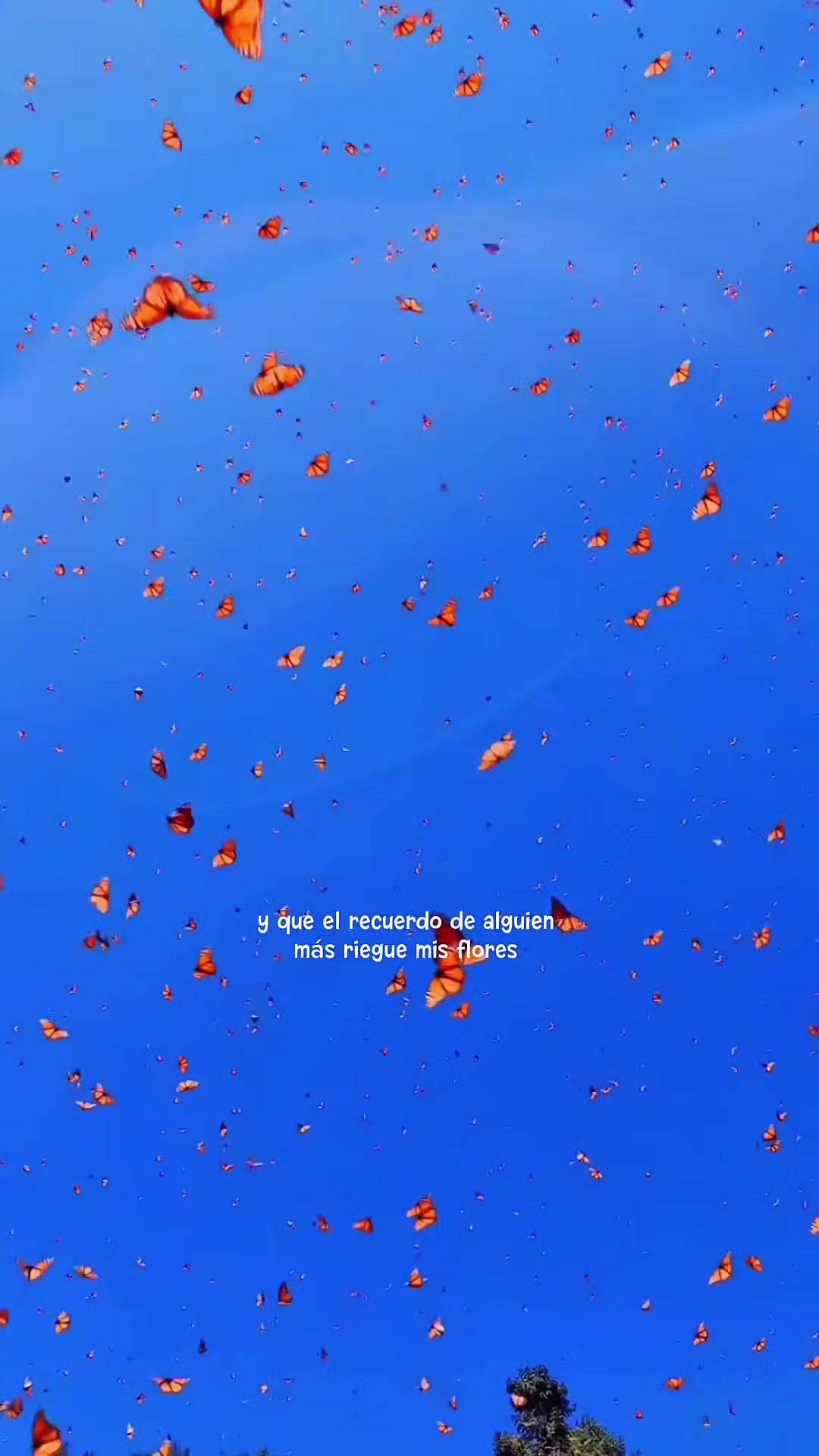 @Elio🪐