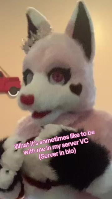 @๐๐๐Cupid๐๐๐