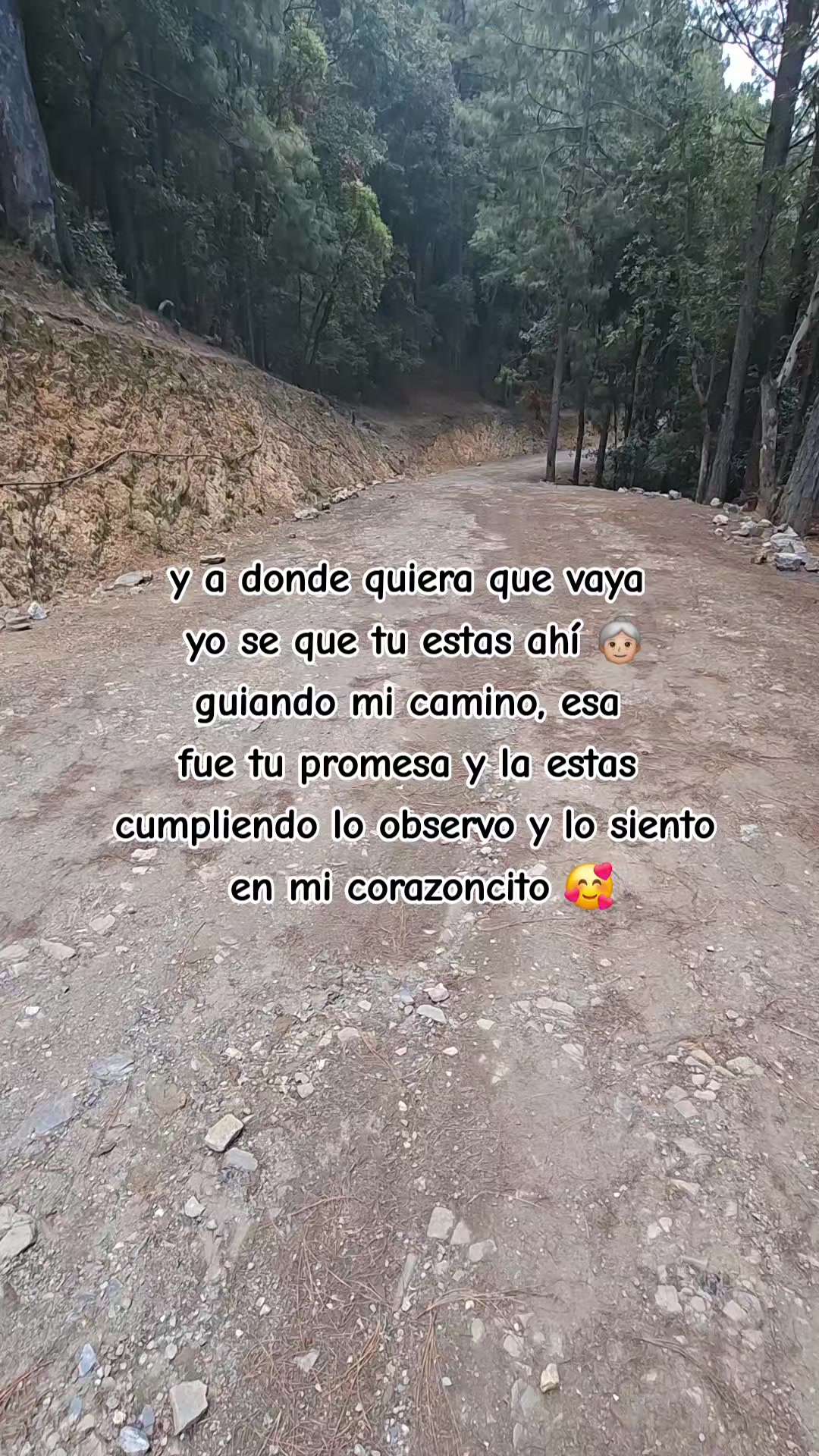 @Fer Zo