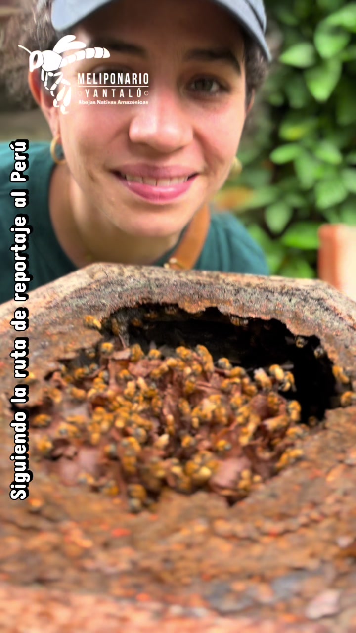 @MELIPONARIO YANTAL&Oacute;