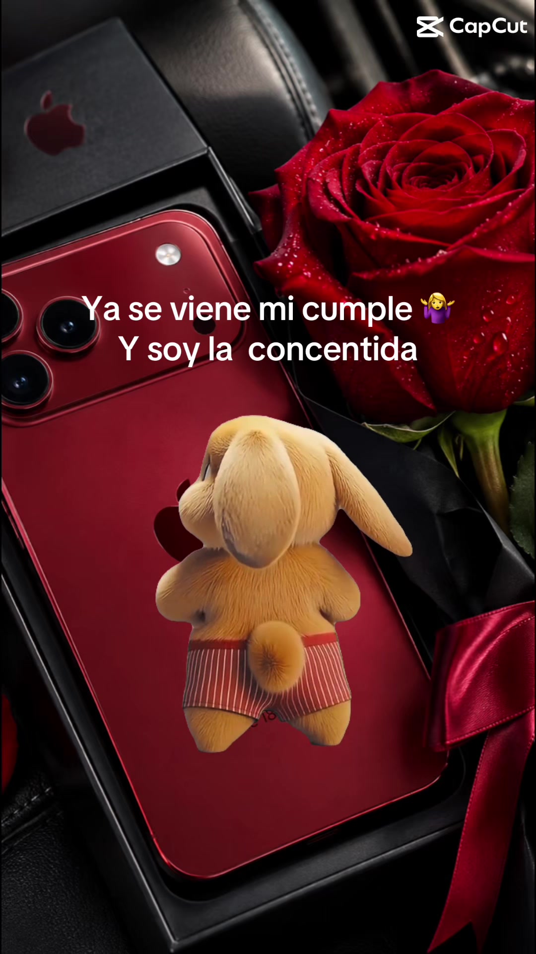 @🎀 Ana canessi mm 🎀
