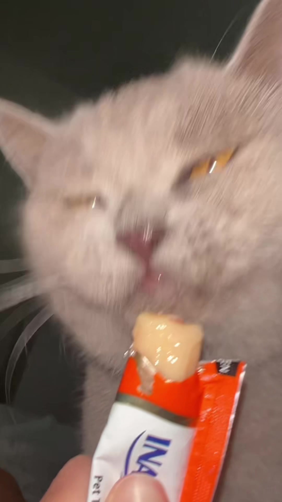 @matchaathecat