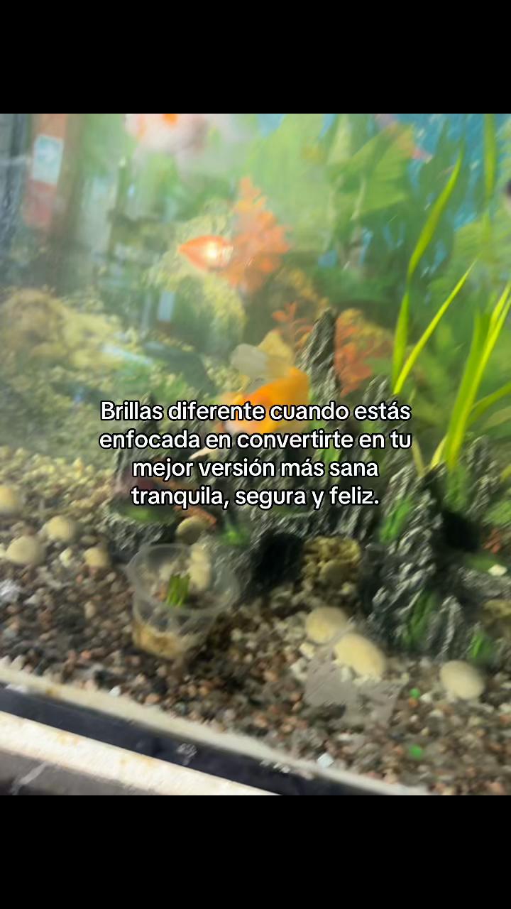 @Yeli🦋