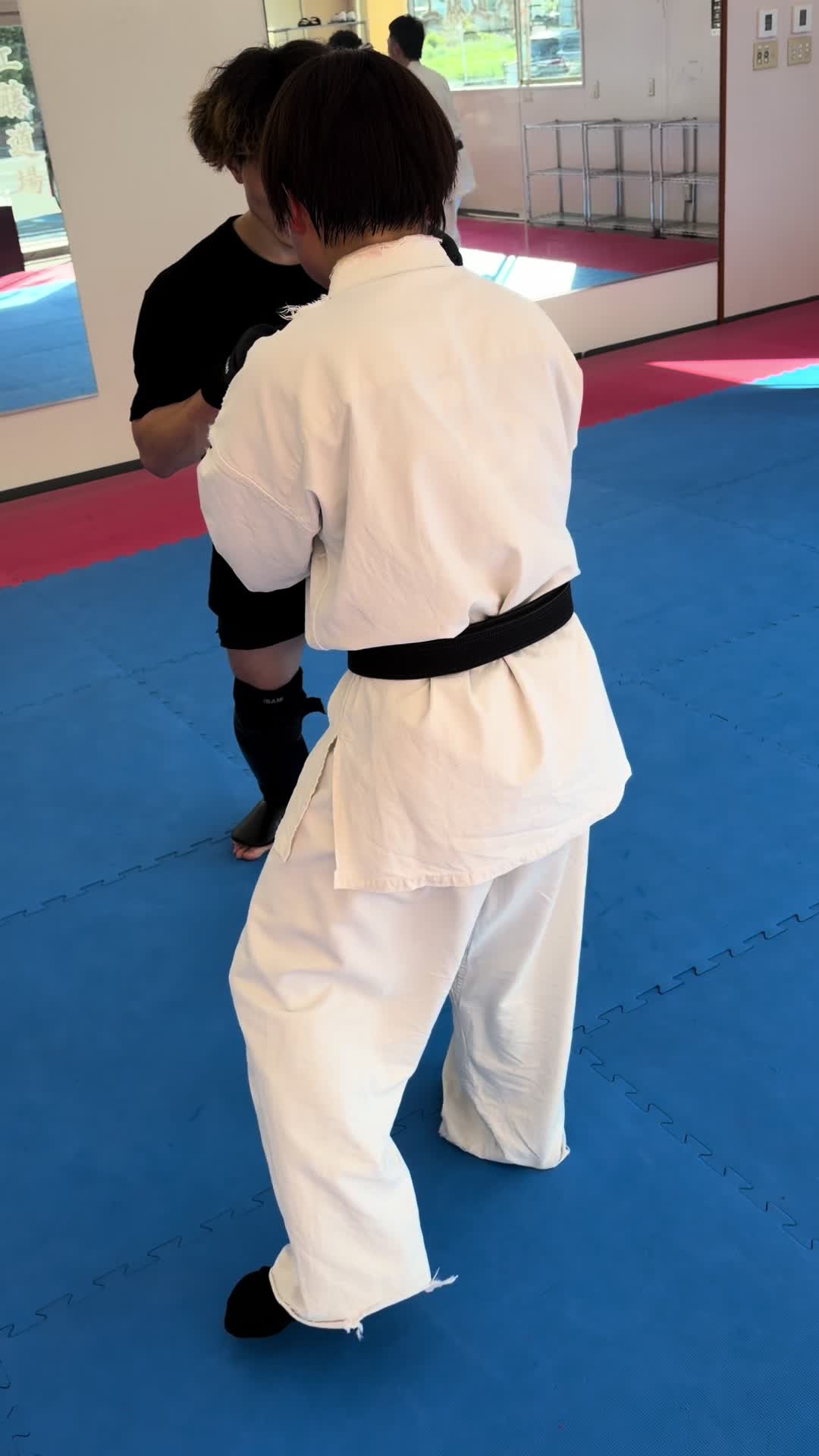 @kudodojo
