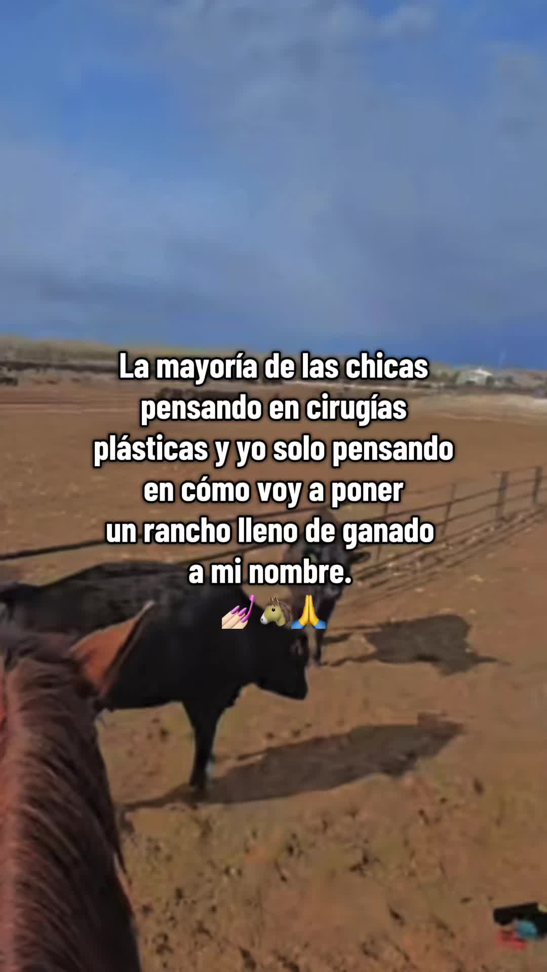 @AmantesExclusivos