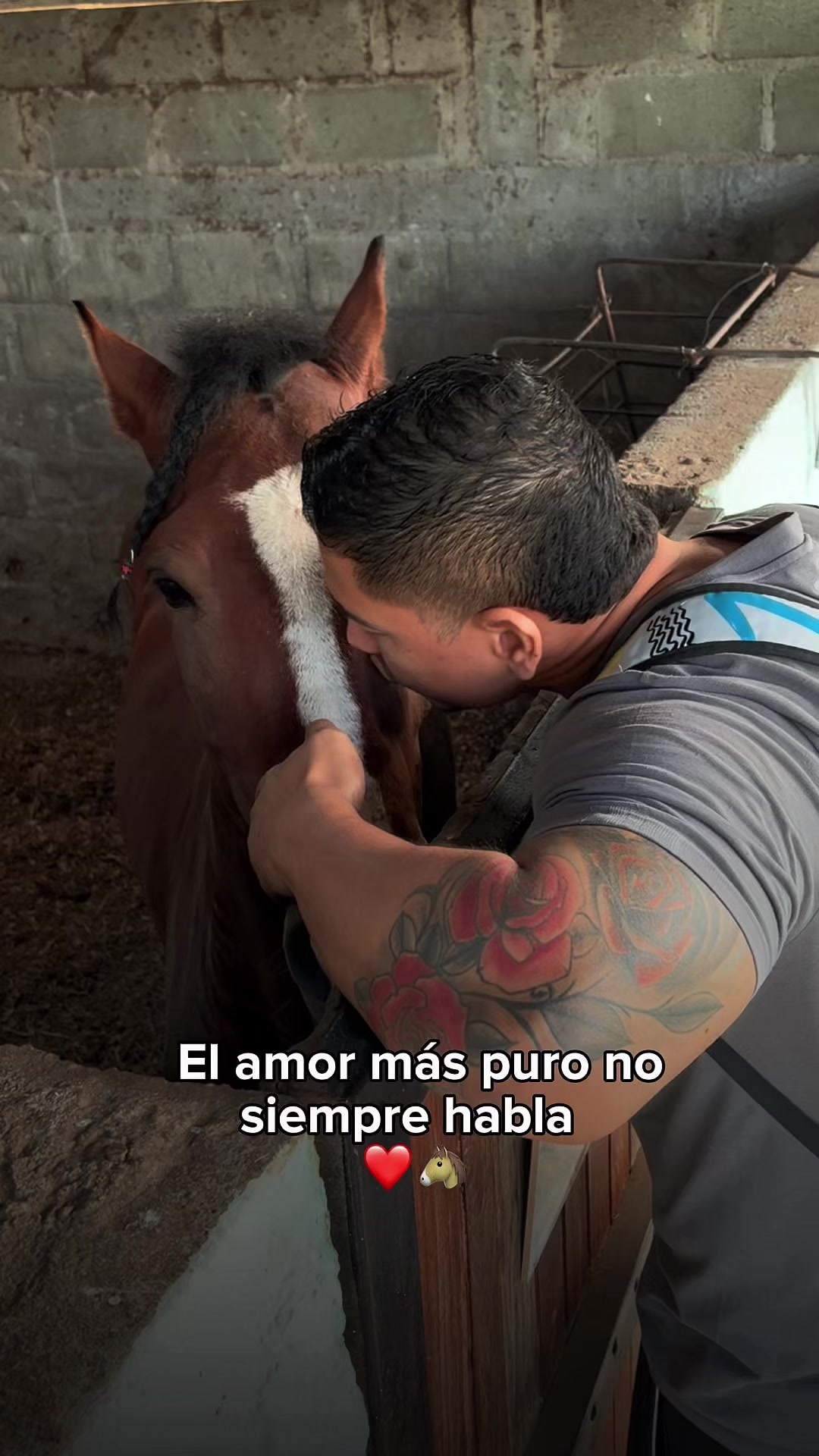 @EL REY DE LOS AGROPECUARIOS