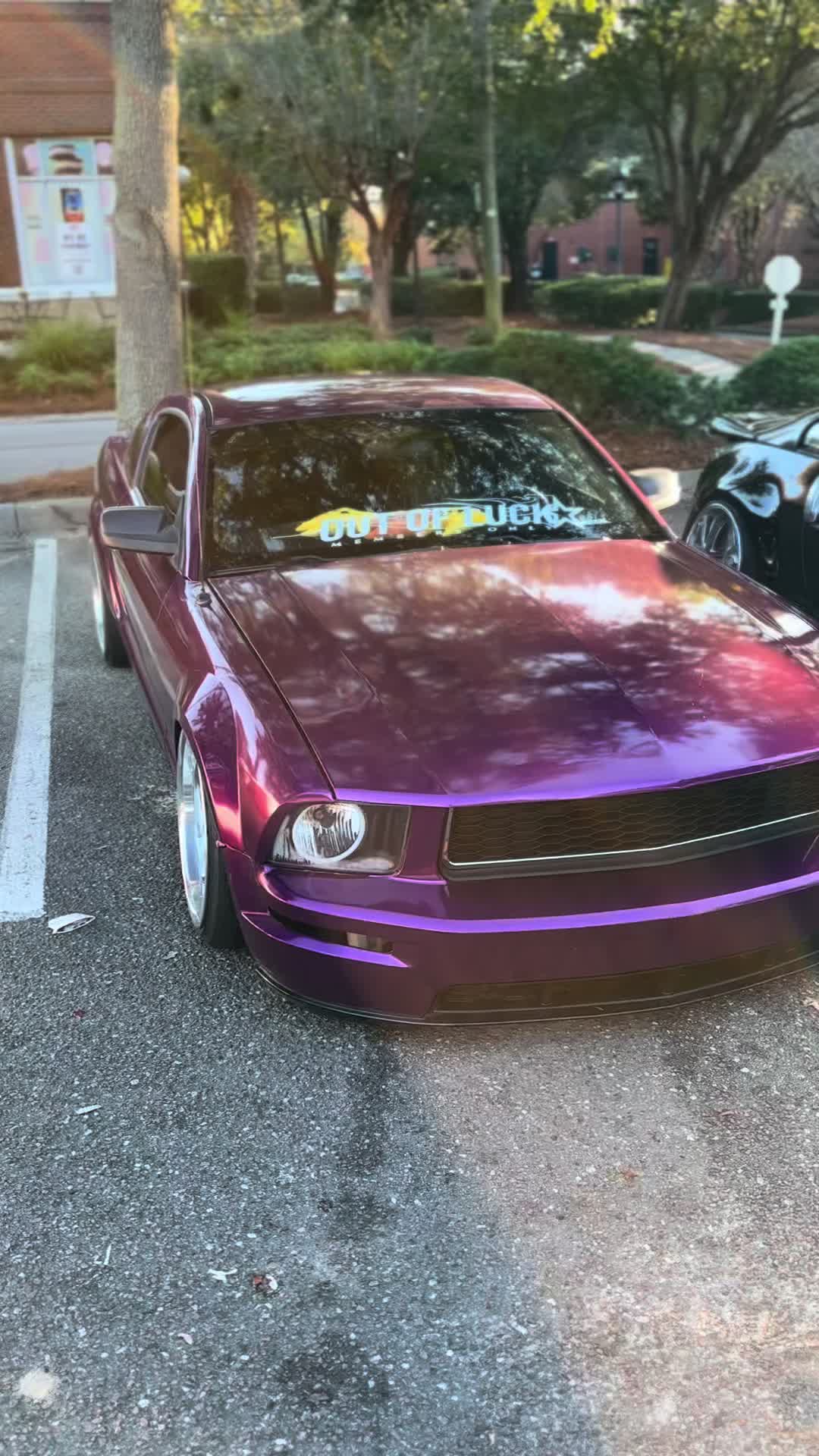 @EngineeredForThrills 🛞