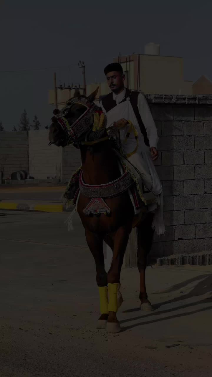 @محمد نافع❤️🔥🐴