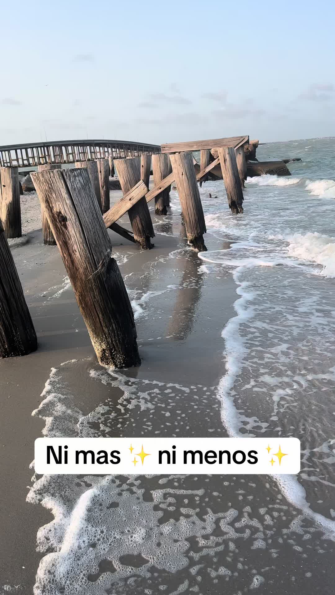 @Luna Gitana 🌸