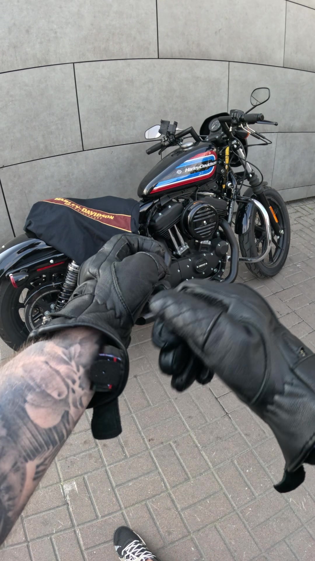 @Chaika_tattoo