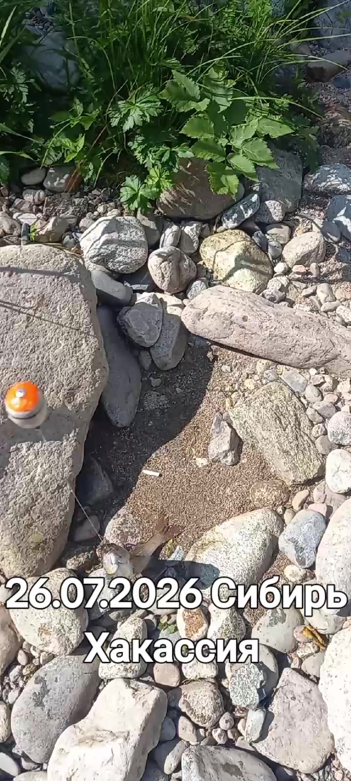 @&&&&&▶▶▶▶▶