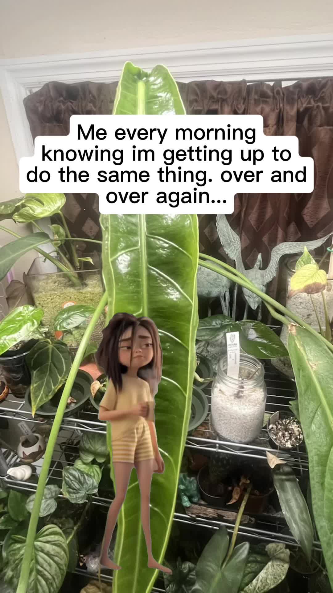 @Krystina G7 Rodriguez