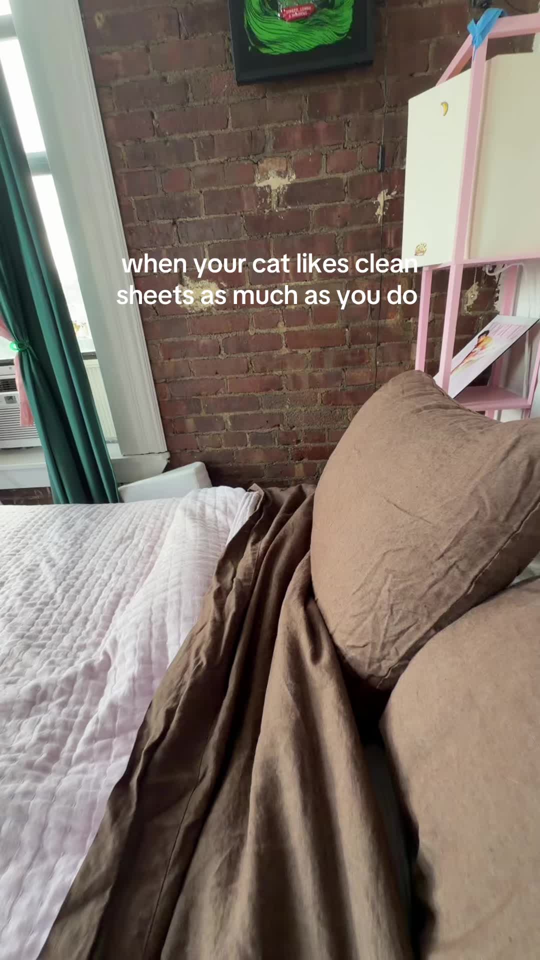 @maddieshuman