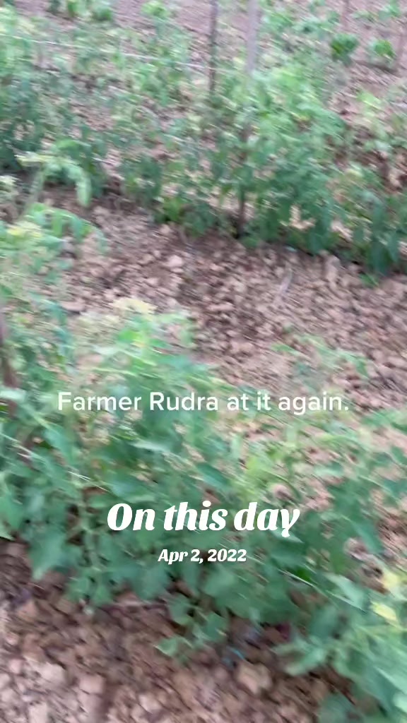 @Rudestarinc.