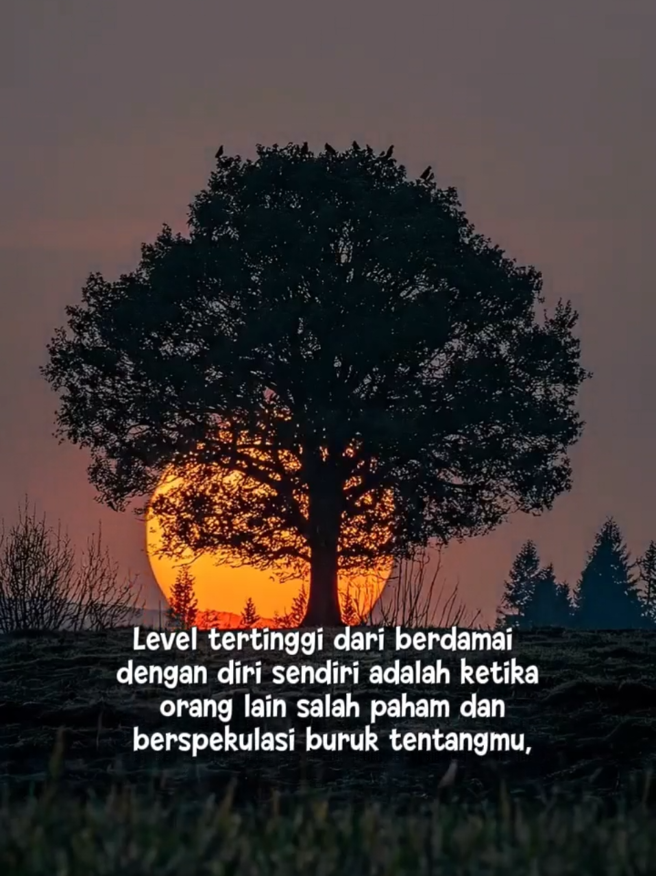 @Fazahra_Qolbu