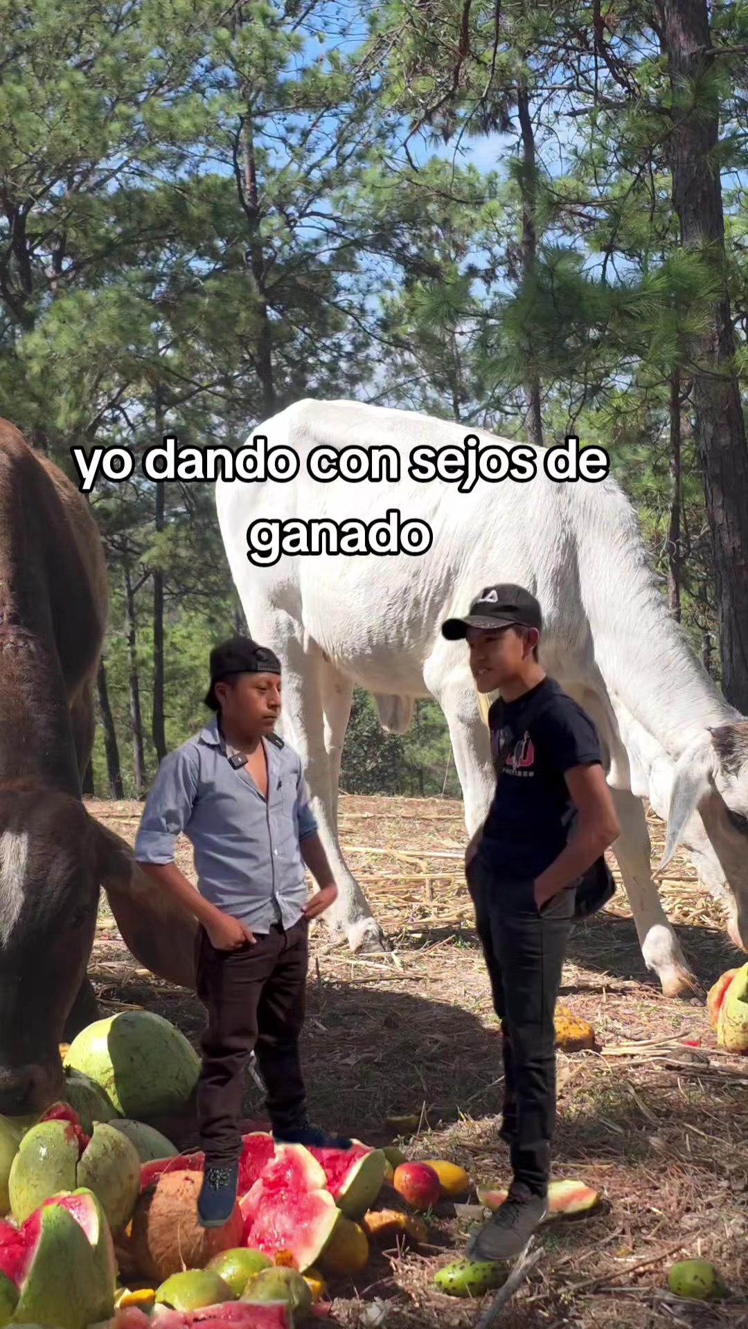 @Luis