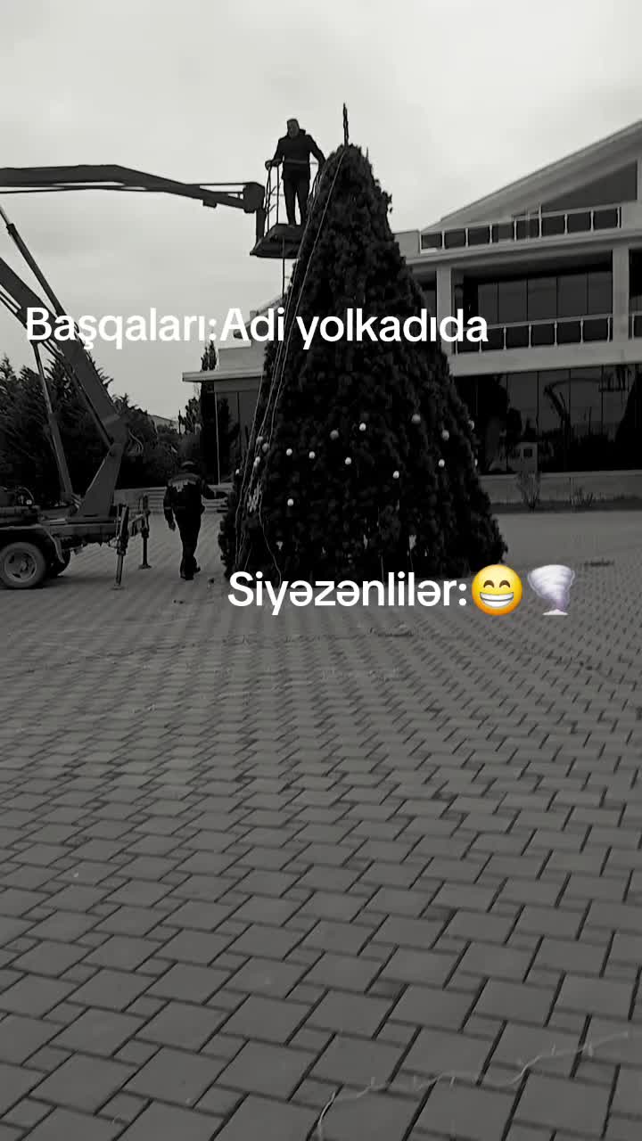 @Mr.kzmv🦂