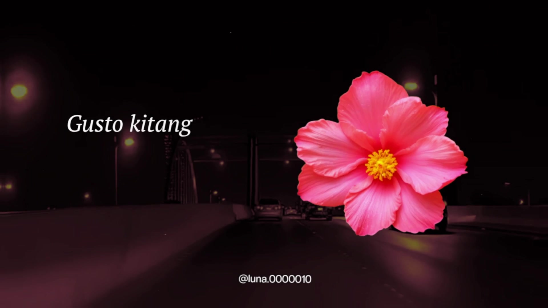 @L U N A ☾ ⋆