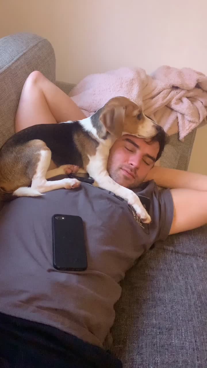 @Lync the Pocket Beagle ๐ถ