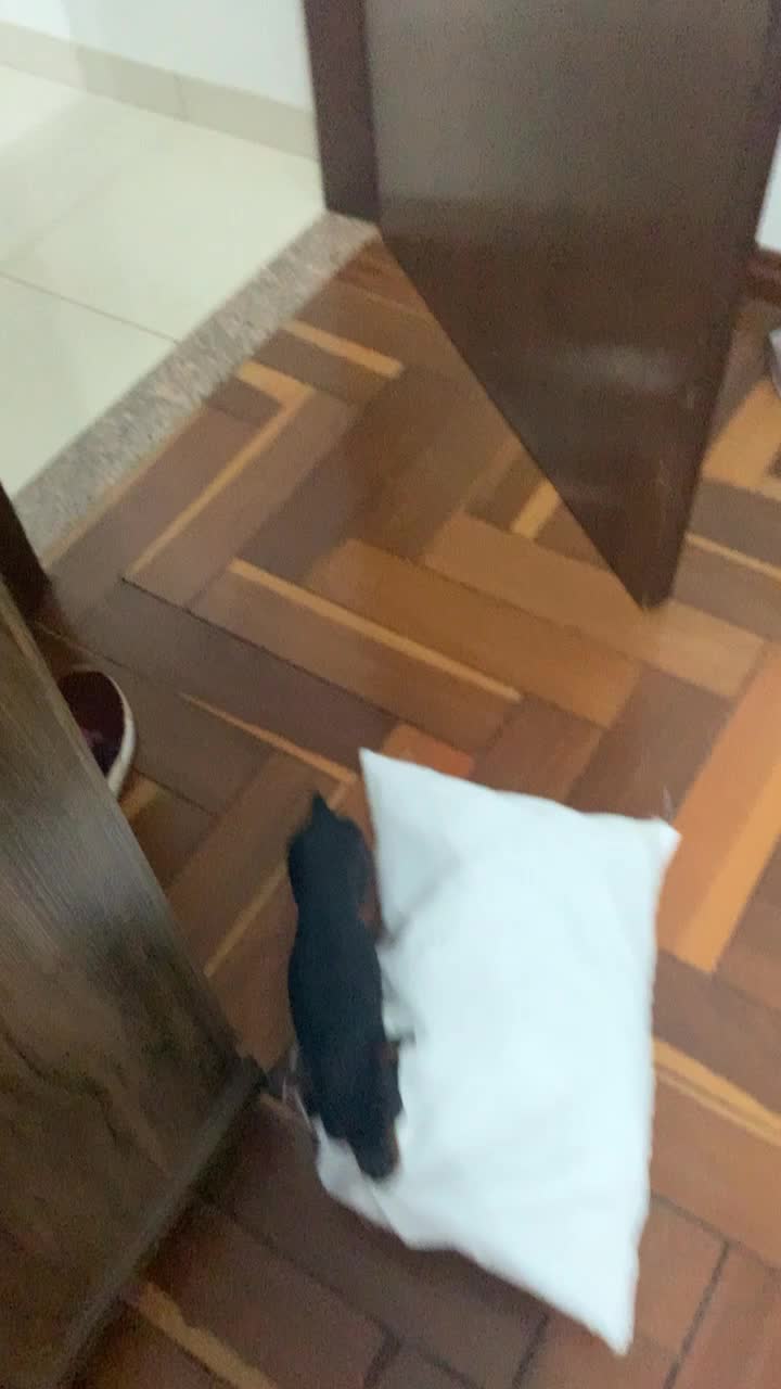 @D&eacute;bora Catalano