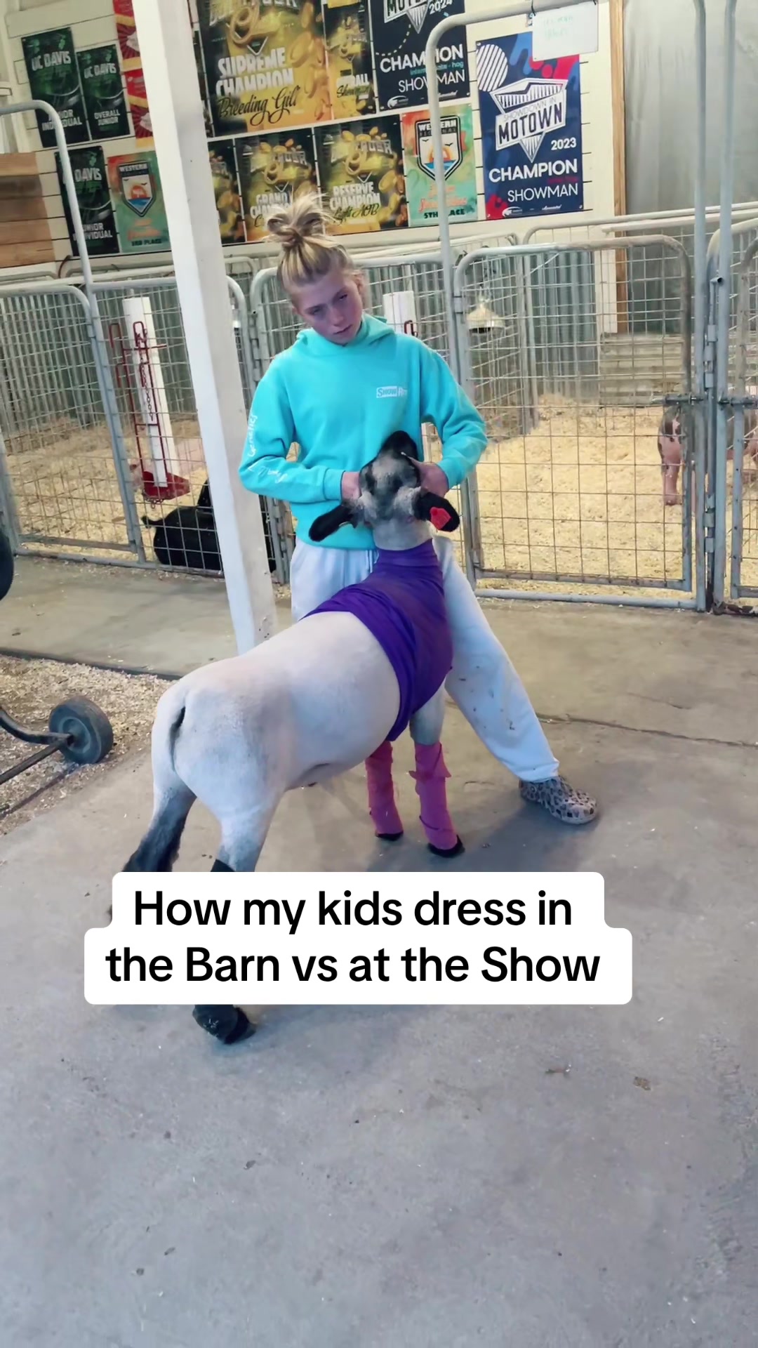 @Dadson Farms Show Pigs