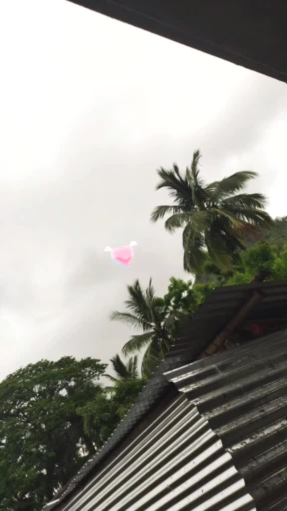 @Minnarao Ravada