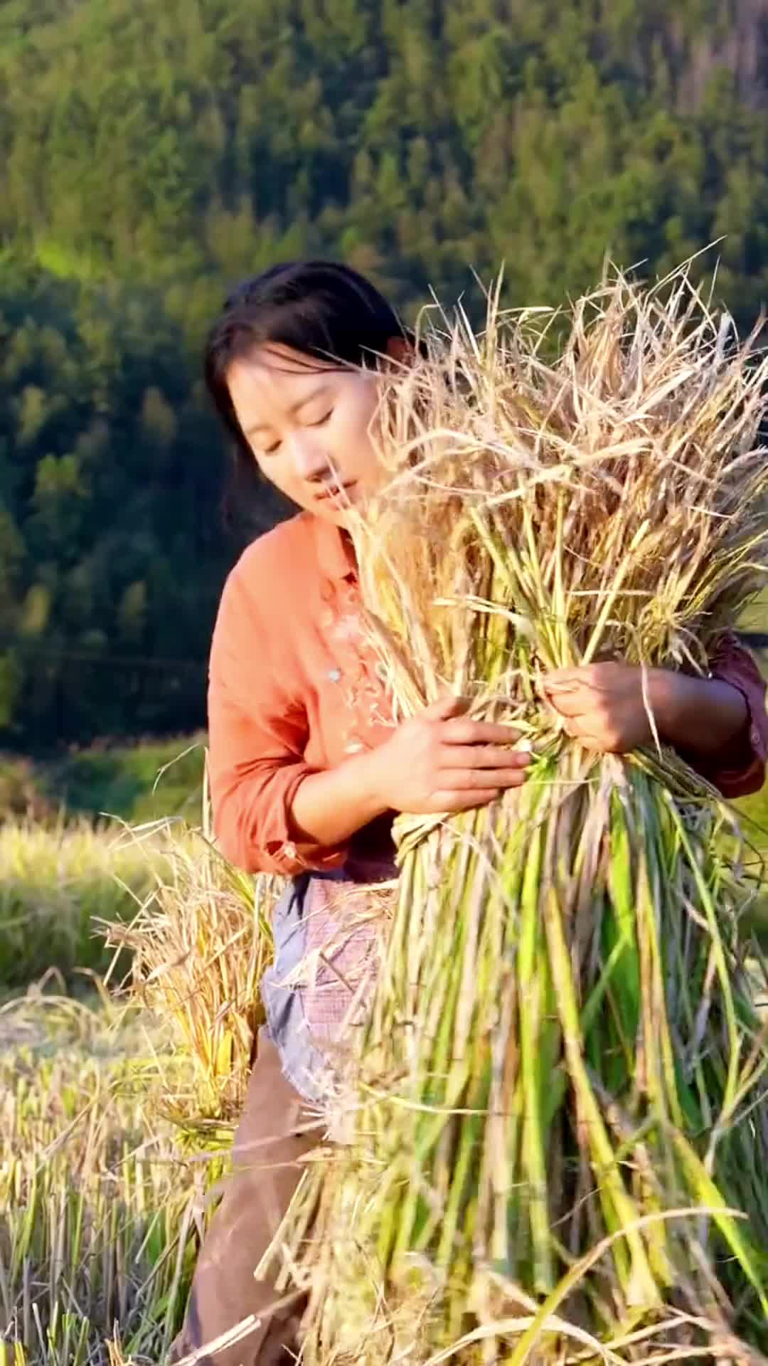 @Xiaotian