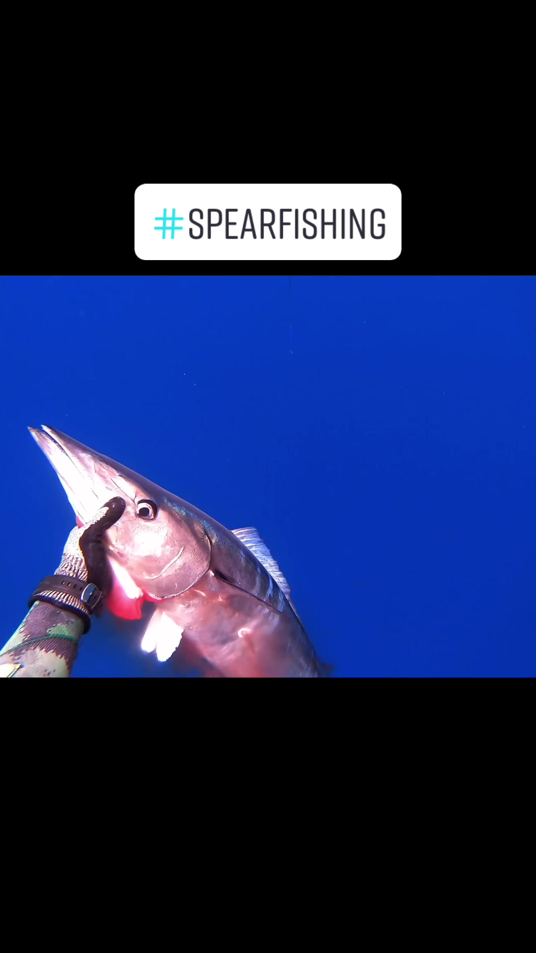 @kairosspearfishing