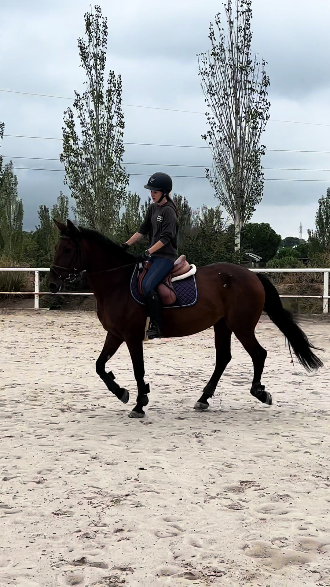 @MHA Teamriding