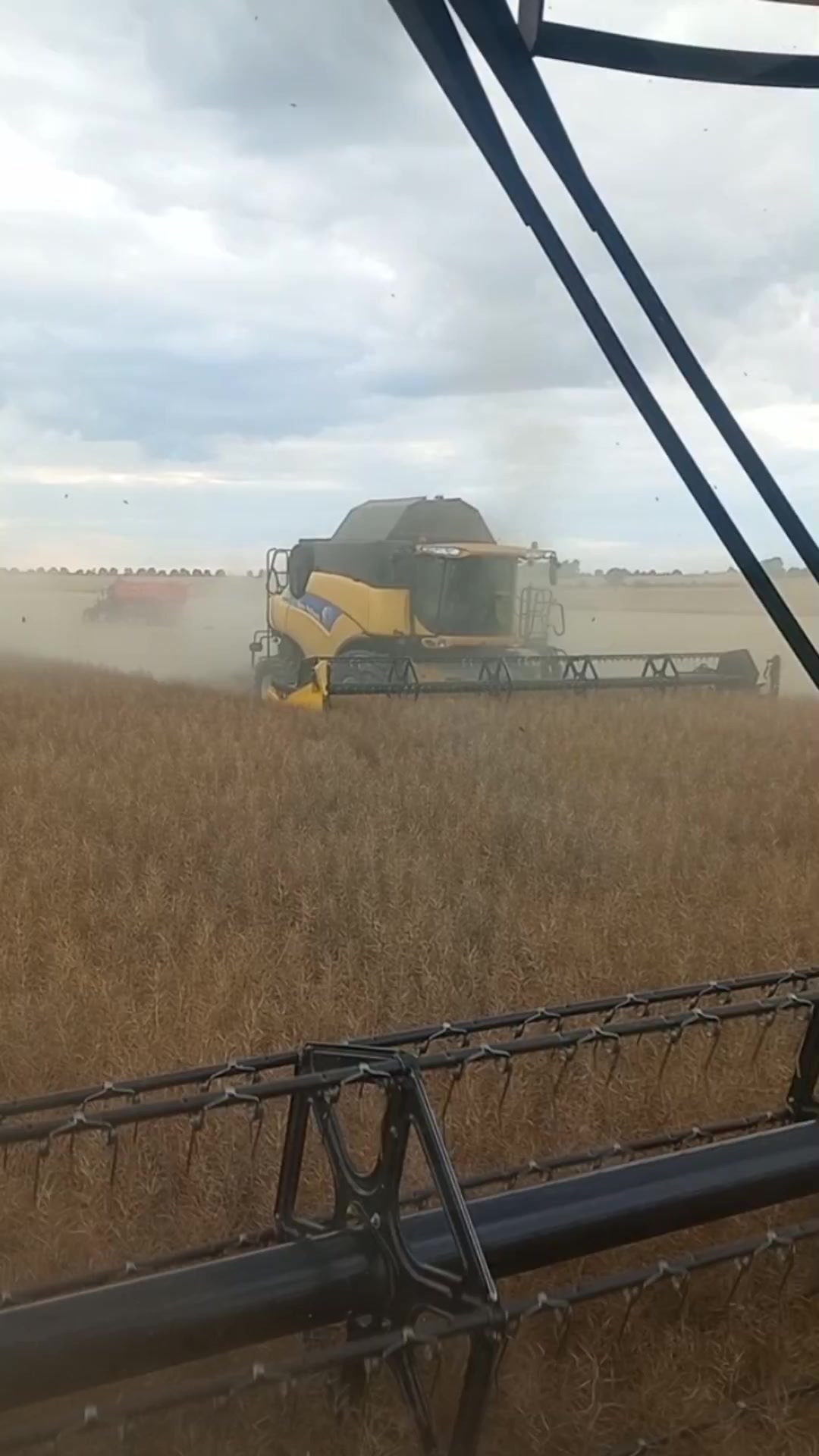 @Agro Szymon
