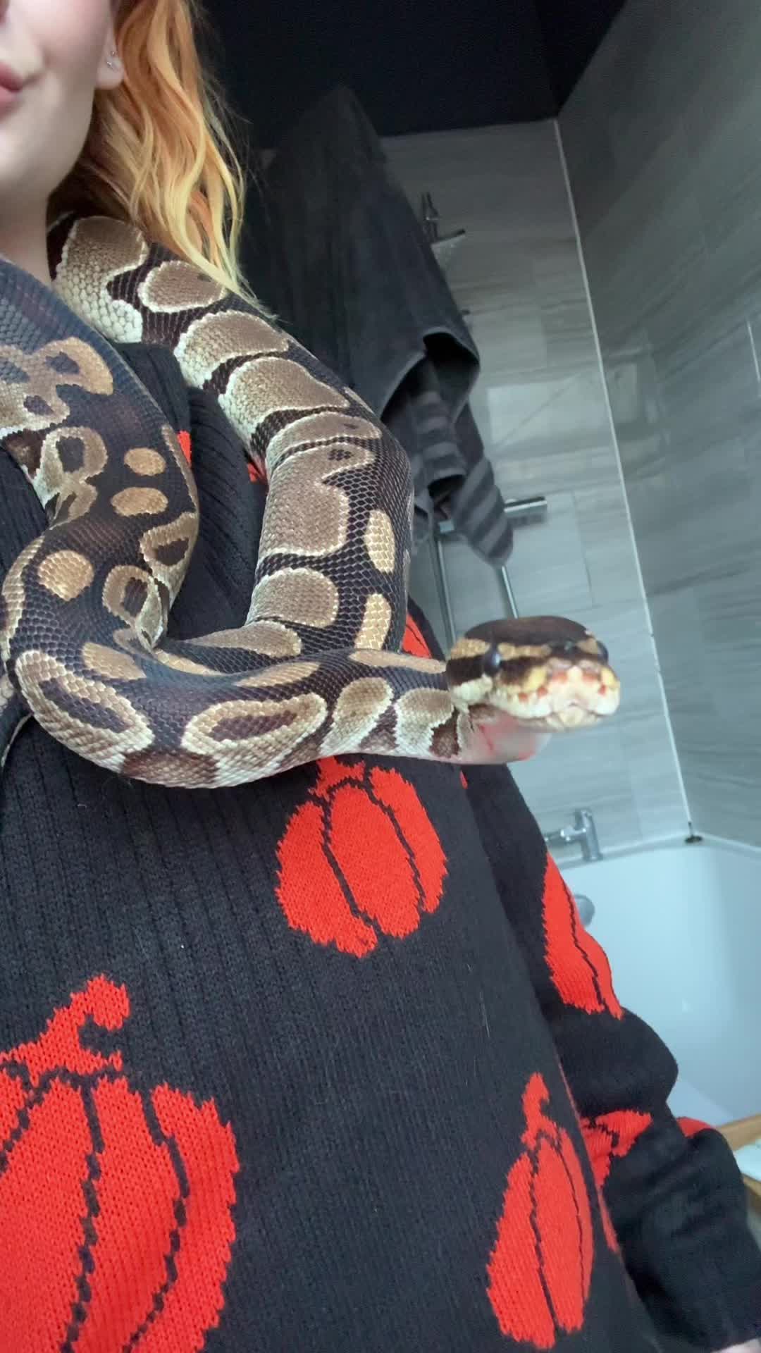 @Rosie&ensp;🖤🐍🦎🕷️
