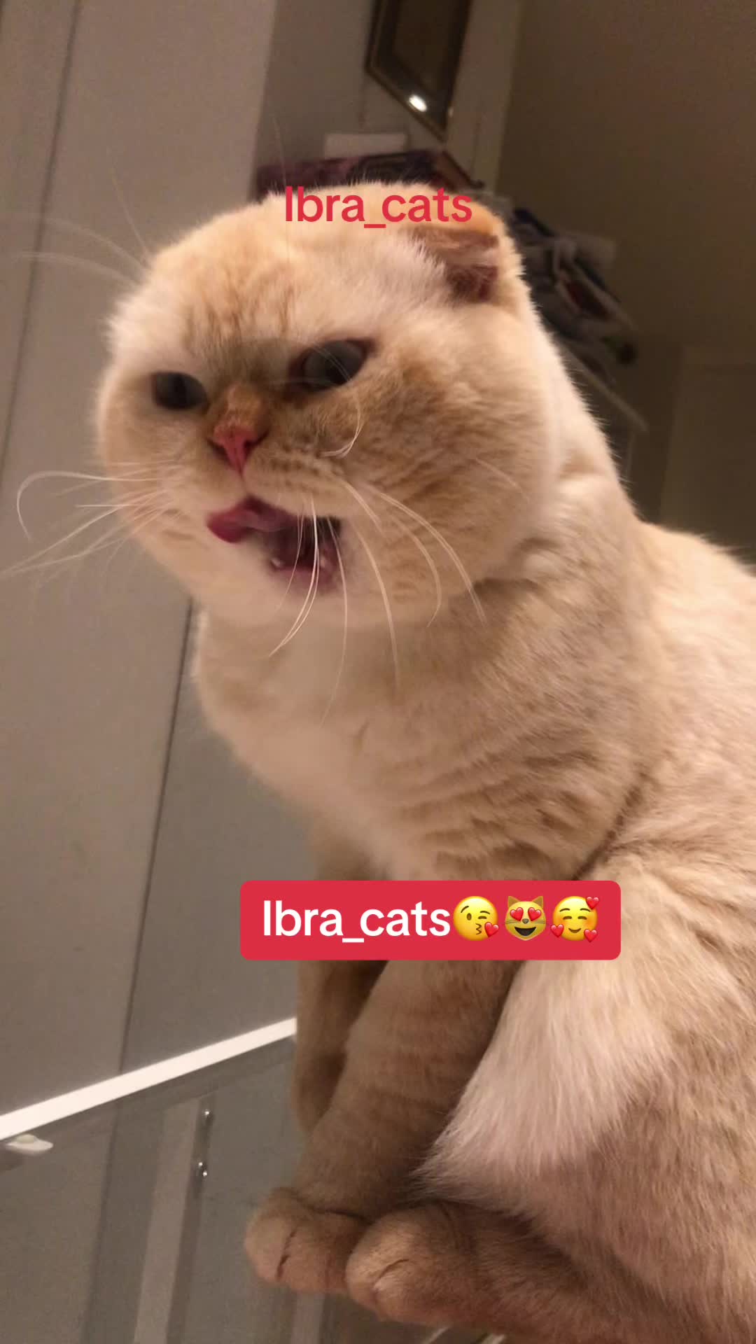 @Ibrahim😻Marius