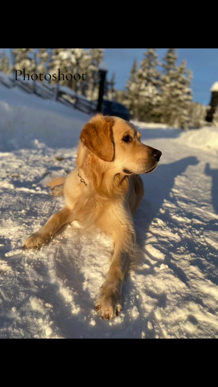 @Pepsi_thegoldenboy