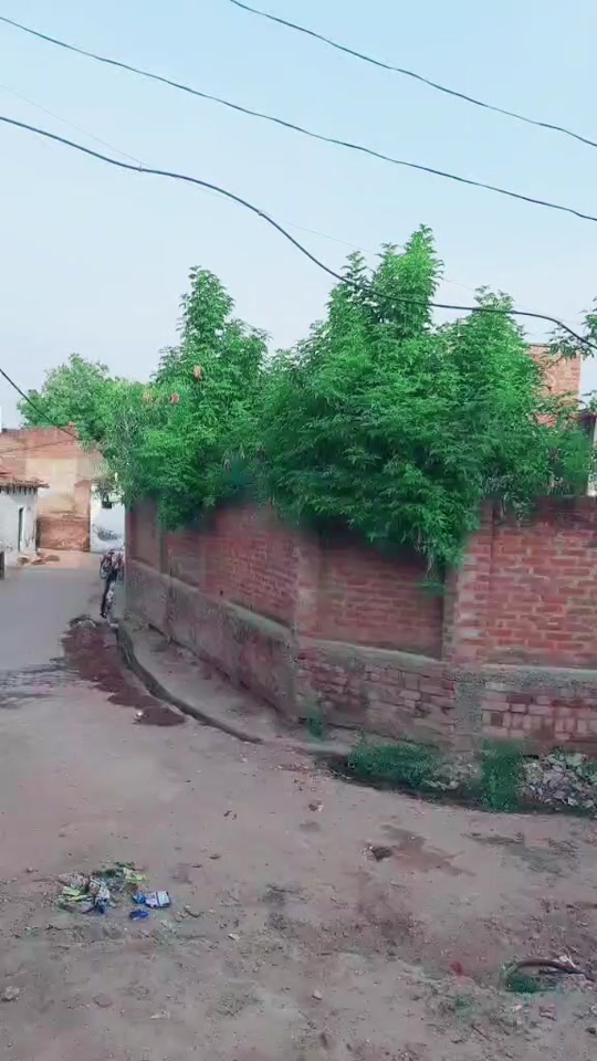 @Aapka Amir