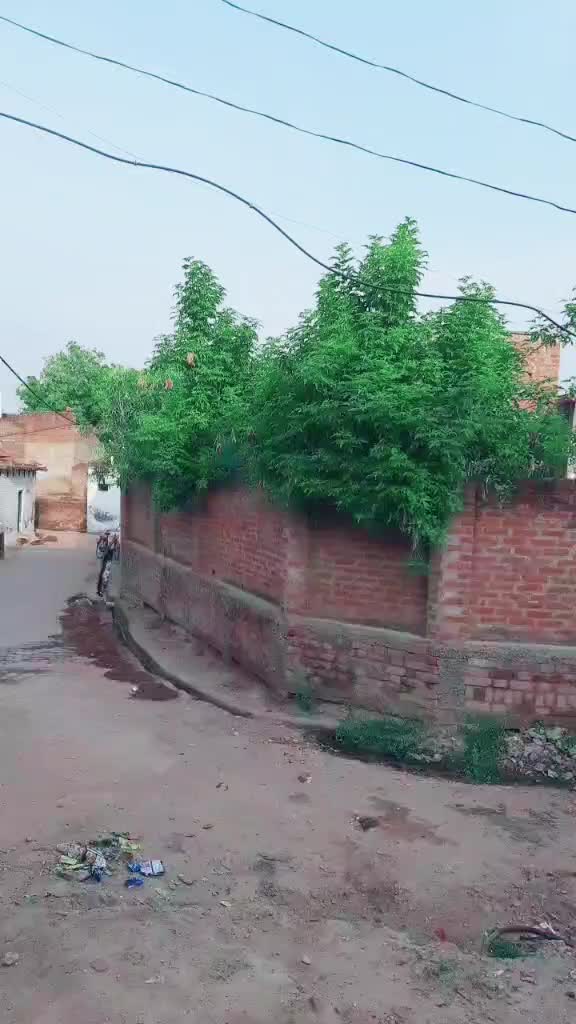 @Aapka Amir