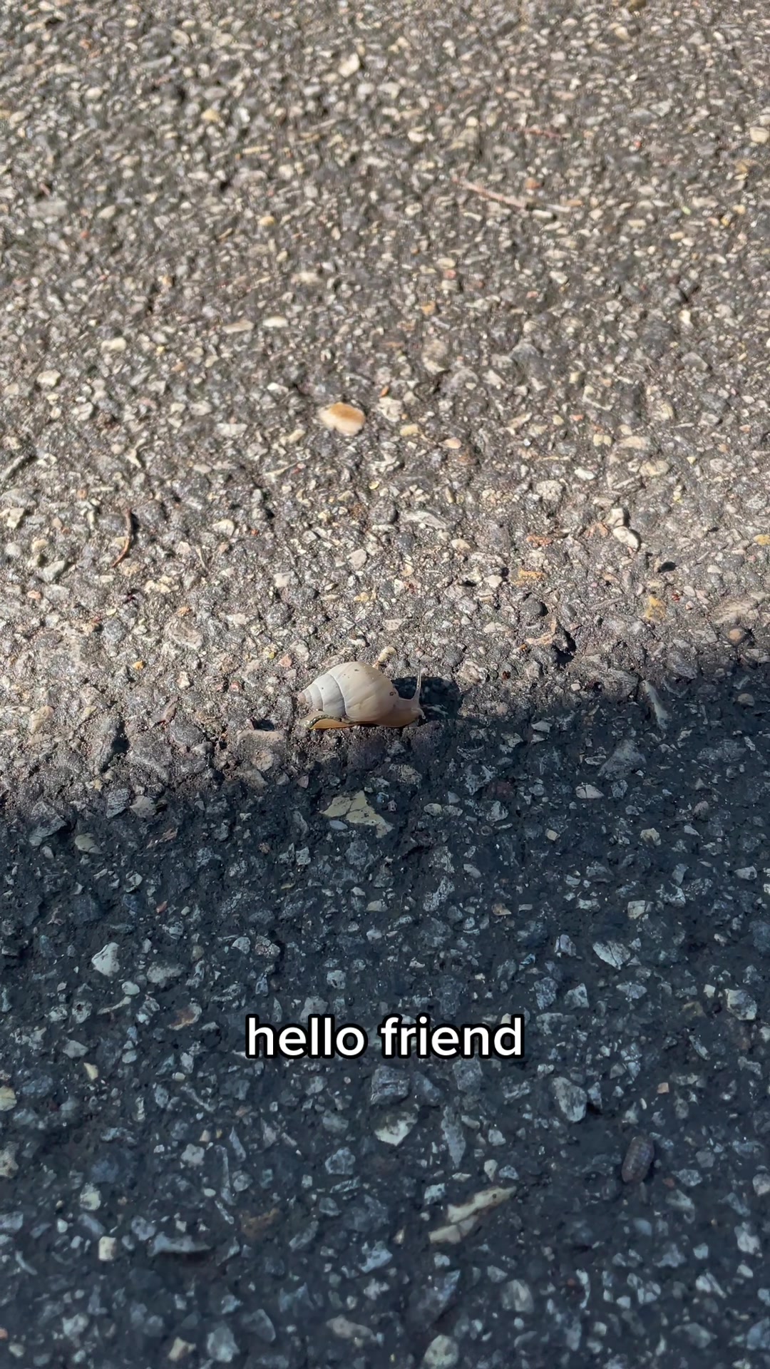 @veronica 🕷️