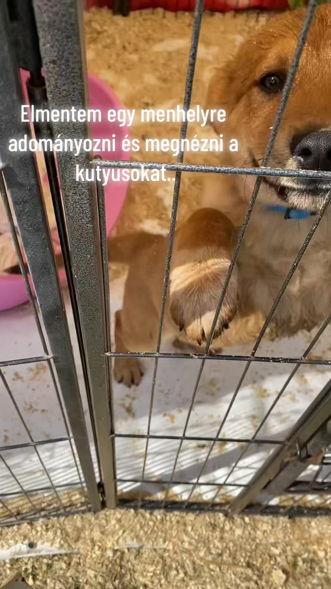 @Kardos Anna