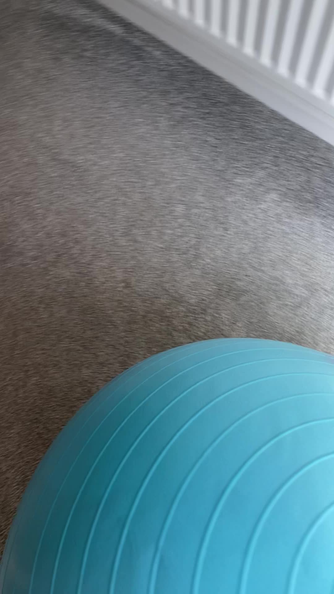 @Ruperttheblacklab