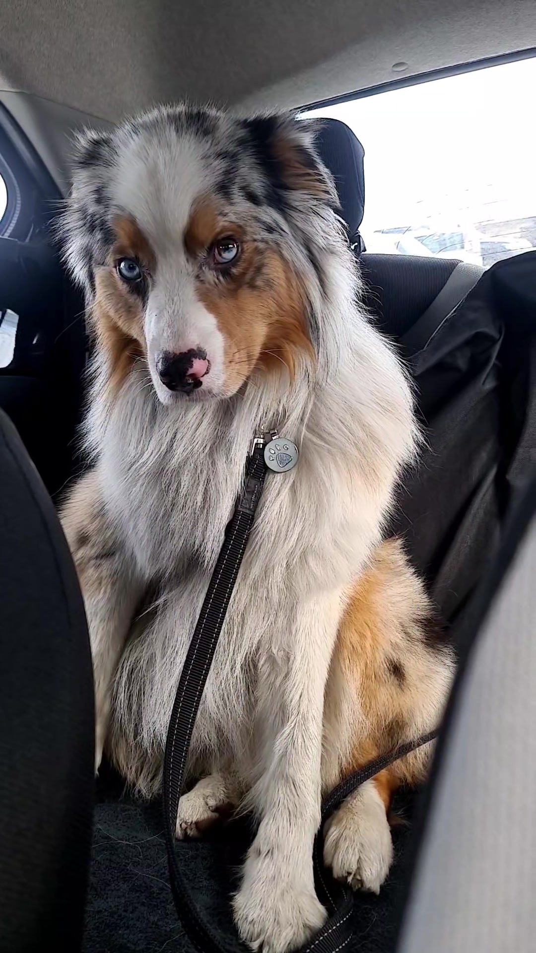 @mr.montytheaussie