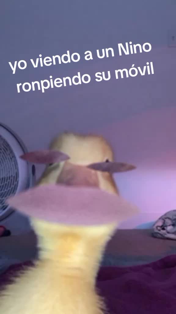 @Dayre