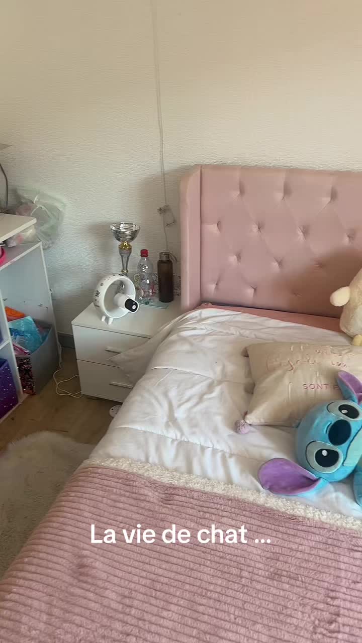 @Pépite & Simba