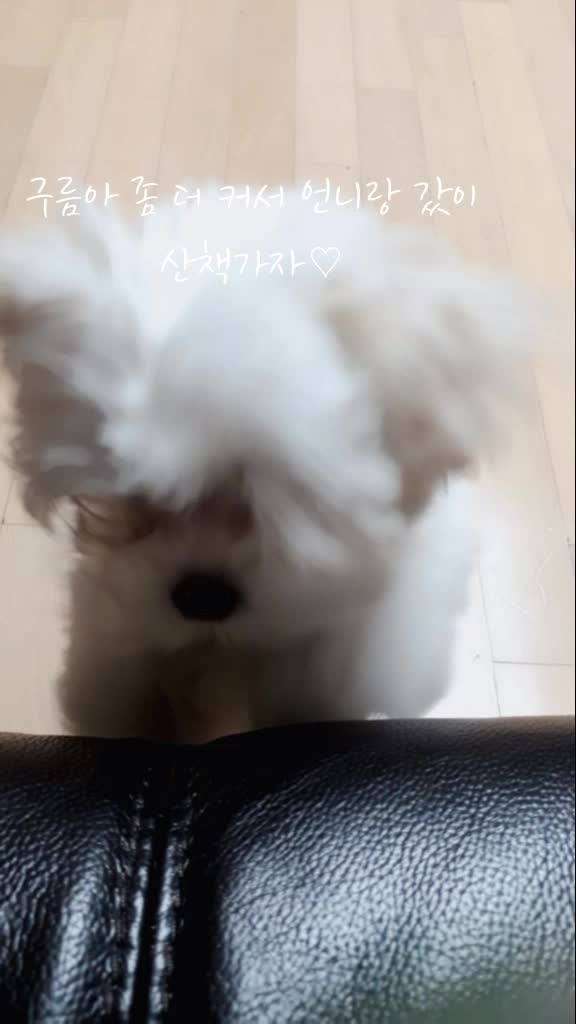 @구름이의 일상