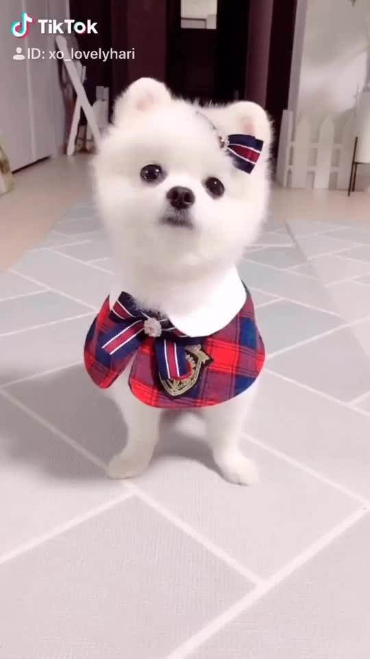 @권하리