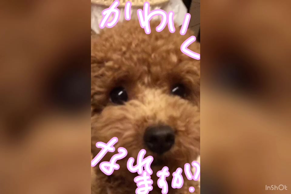 @みおふわ