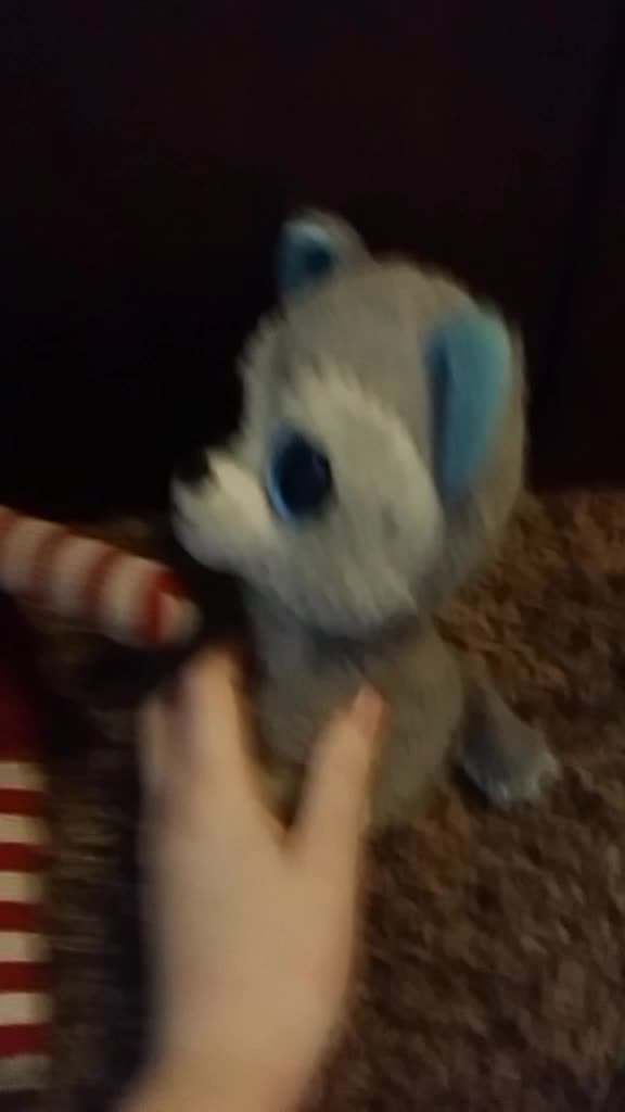 @wolf gamer 2008