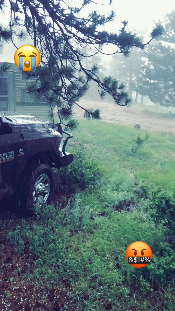 @LoggerBoy545