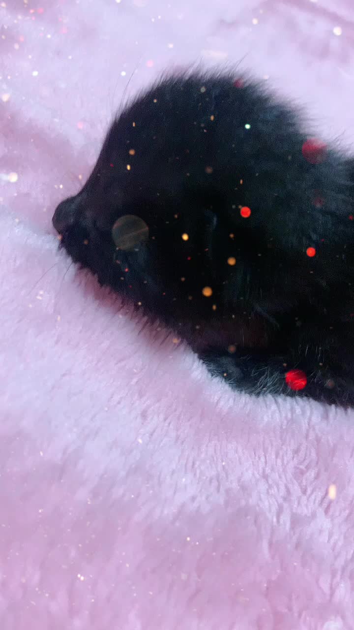 @🥀🖤