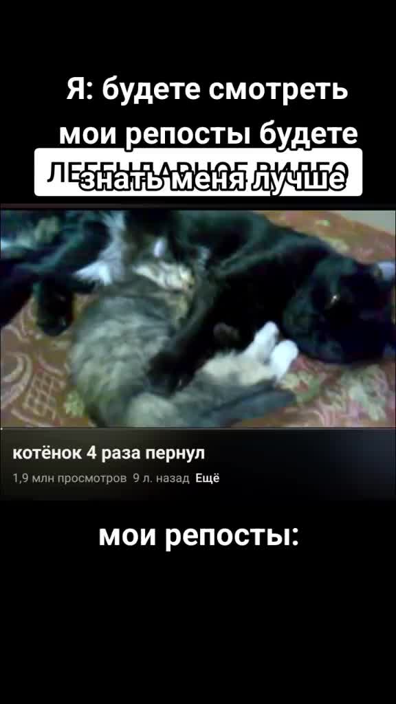 @тгк: truekowa