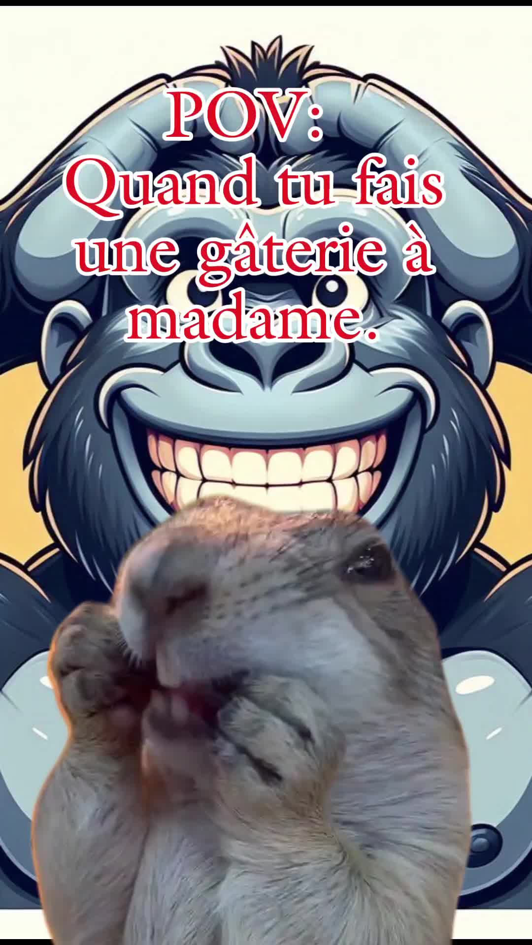 @ⁱᵃᵐ|Ꭹᴧ𝔫𝔫&iacute;c𝑘𒆜🦧