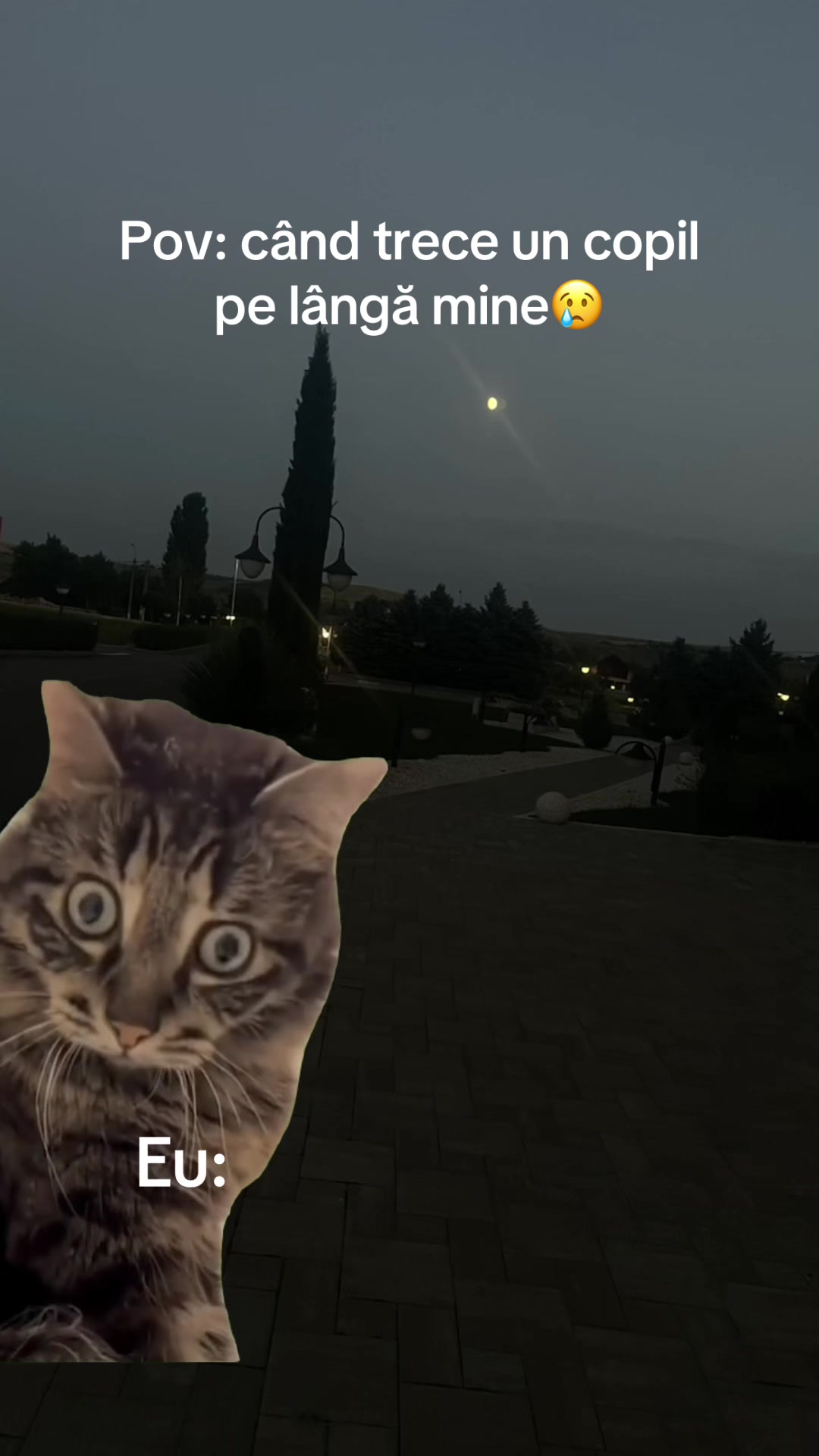 @ꫀꪑꪑꪖ🕷️